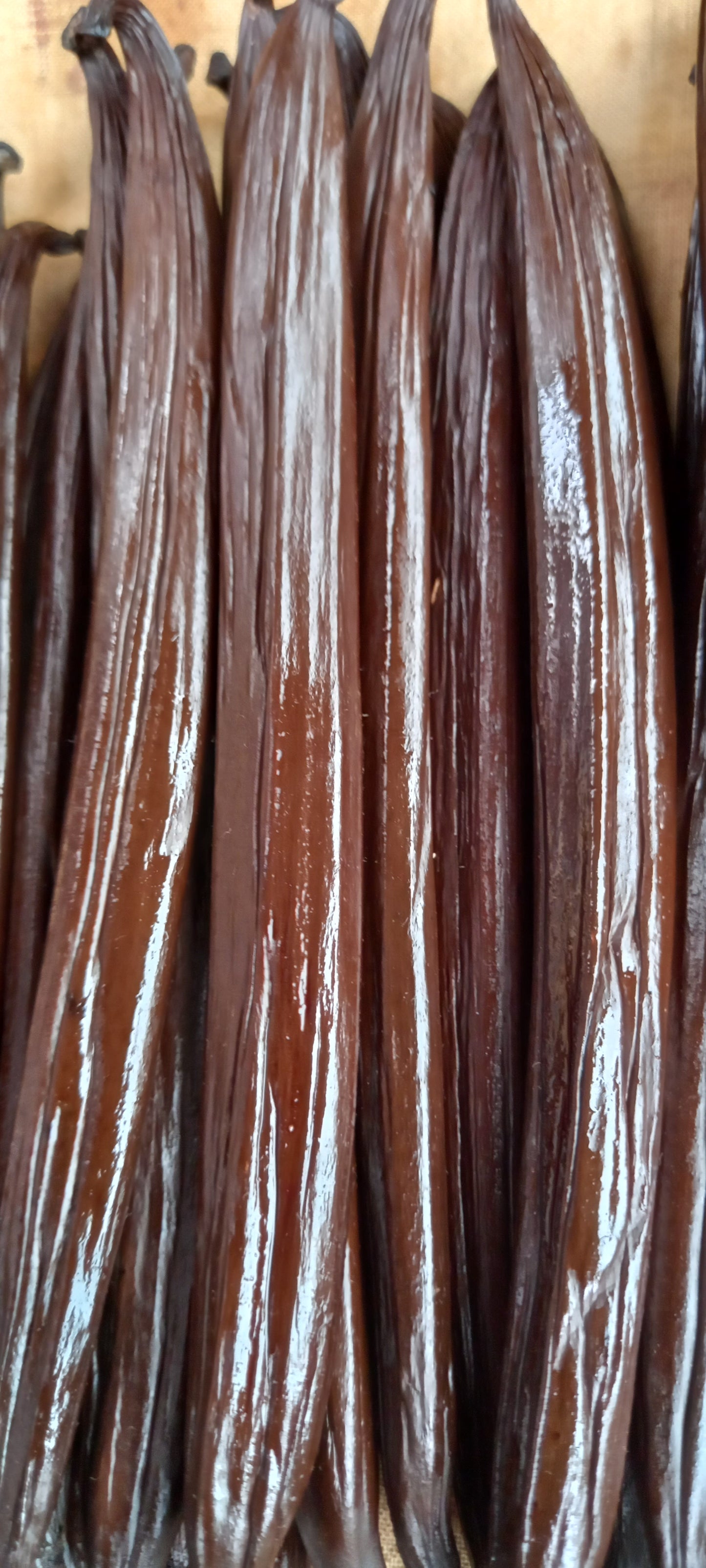 Vanille de Tahiti (16/17)